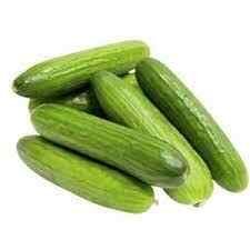 Planta Cucumber garden cucumber (900 gr)