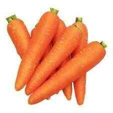 Carrot